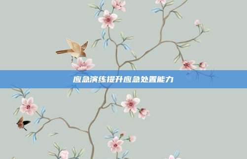 应急演练提升应急处置能力