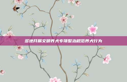 多地开展文明养犬专项整治规范养犬行为