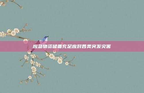 应急物资储备充足应对各类突发灾害