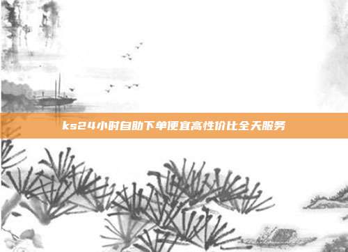 ks24小时自助下单便宜高性价比全天服务