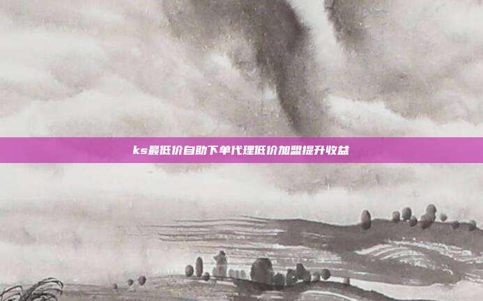 ks最低价自助下单代理低价加盟提升收益