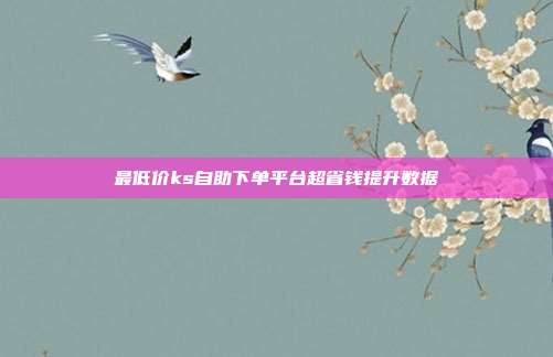 最低价ks自助下单平台超省钱提升数据