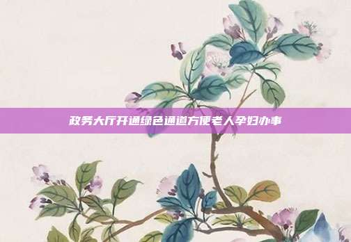 政务大厅开通绿色通道方便老人孕妇办事