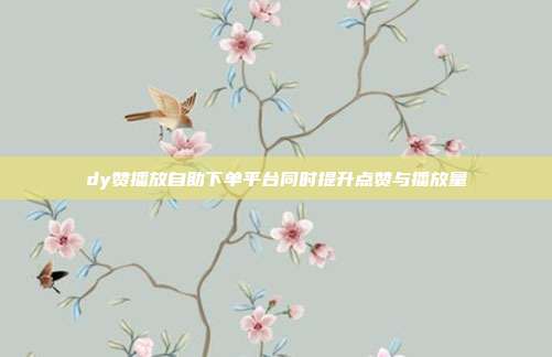 dy赞播放自助下单平台同时提升点赞与播放量