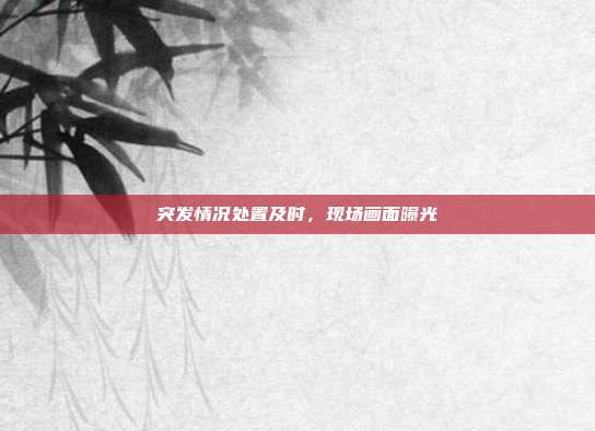 突发情况处置及时,现场画面曝光