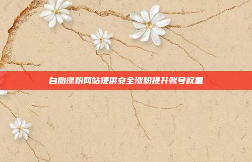 自助涨粉网站提供安全涨粉提升账号权重