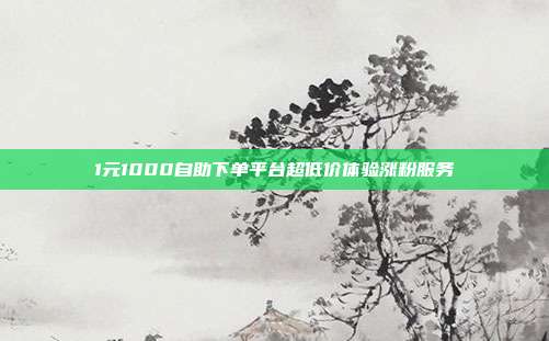 1元1000自助下单平台超低价体验涨粉服务
