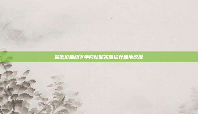 最低价自助下单网站超实惠提升各项数据
