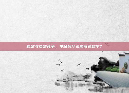 新站与老站竞争,小站凭什么能弯道超车?
