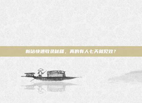新站快速收录秘籍,真的有人七天就见效?