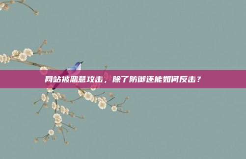 网站被恶意攻击,除了防御还能如何反击?