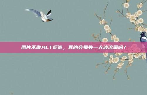 图片不做ALT标签,真的会损失一大波流量吗?