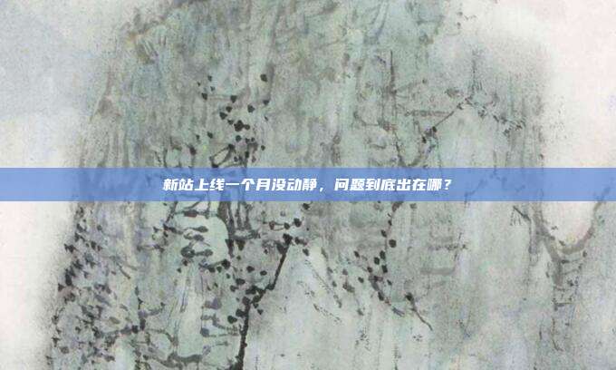 新站上线一个月没动静,问题到底出在哪?