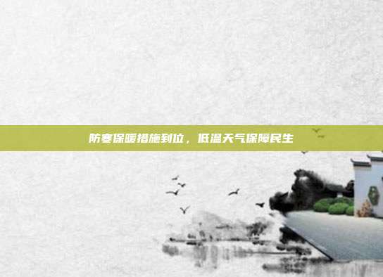 防寒保暖措施到位,低温天气保障民生