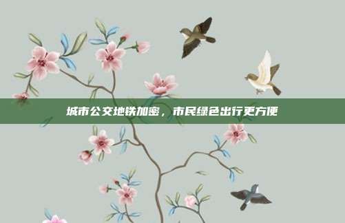 城市公交地铁加密,市民绿色出行更方便