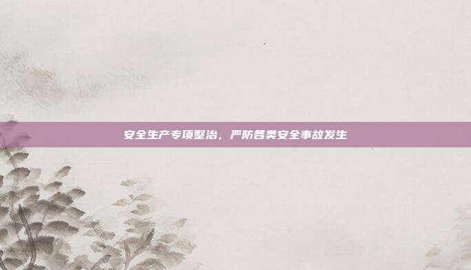 安全生产专项整治,严防各类安全事故发生