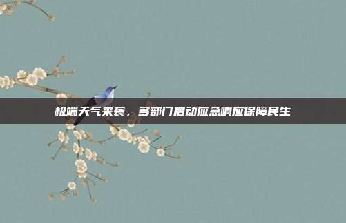 极端天气来袭，多部门启动应急响应保障民生