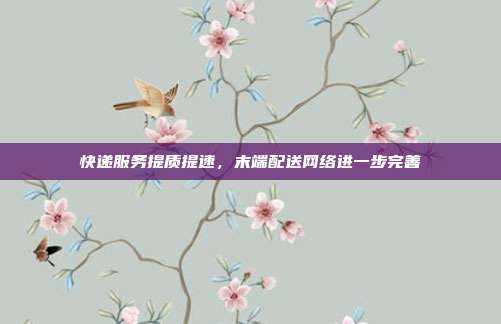 快递服务提质提速，末端配送网络进一步完善