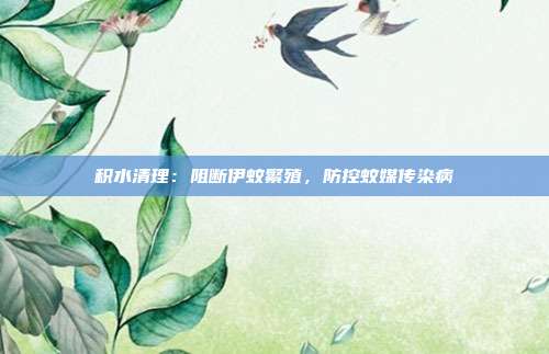 积水清理:阻断伊蚊繁殖,防控蚊媒传染病