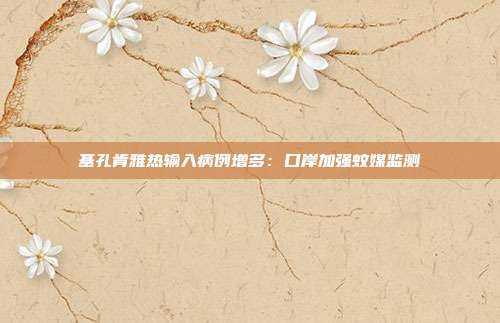 基孔肯雅热输入病例增多:口岸加强蚊媒监测