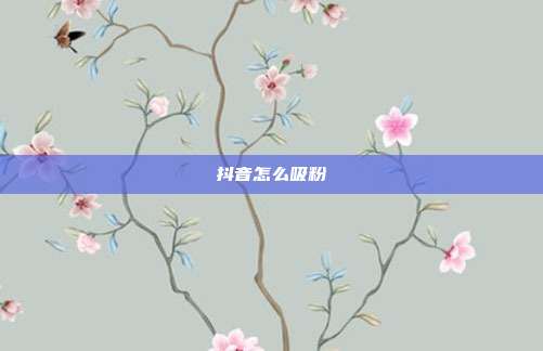 抖音怎么吸粉
