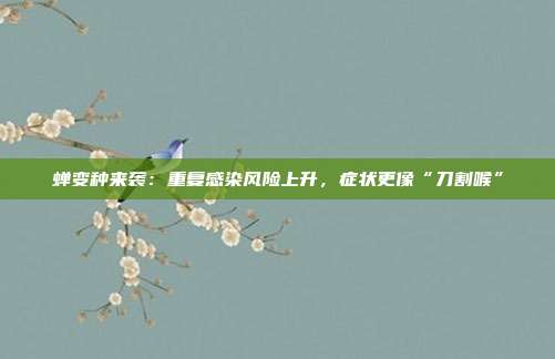 蝉变种来袭:重复感染风险上升,症状更像“刀割喉”