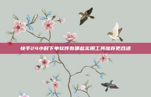 快手24小时下单软件有哪些实用工具推荐更合适