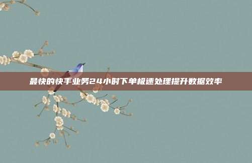 最快的快手业务24小时下单极速处理提升数据效率