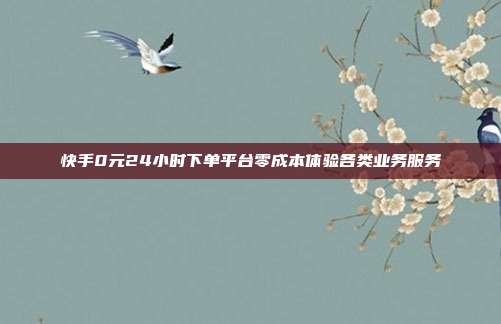 快手0元24小时下单平台零成本体验各类业务服务