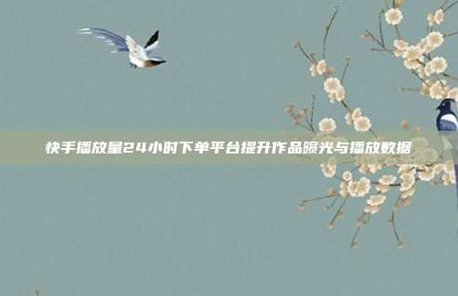 快手播放量24小时下单平台提升作品曝光与播放数据