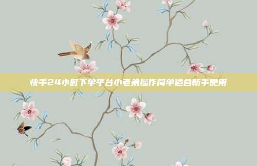 快手24小时下单平台小老弟操作简单适合新手使用