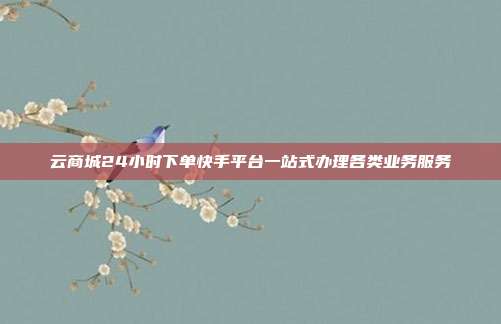 云商城24小时下单快手平台一站式办理各类业务服务