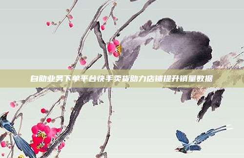 自助业务下单平台快手卖货助力店铺提升销量数据