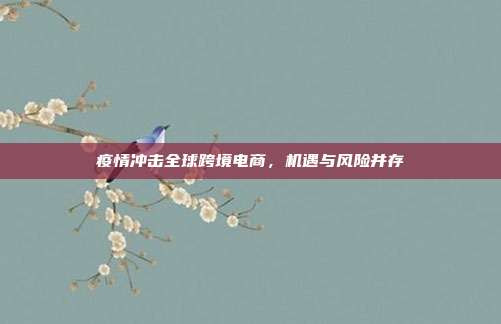 疫情冲击全球跨境电商,机遇与风险并存