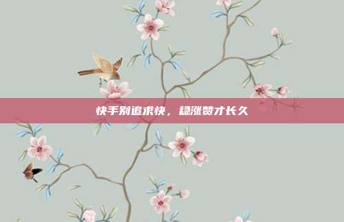 快手别追求快,稳涨赞才长久