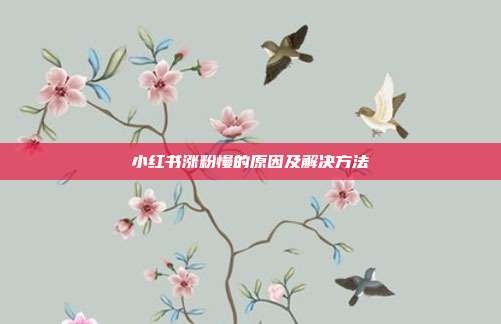 小红书涨粉慢的原因及解决方法
