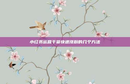 小红书运营干货快速涨粉的几个方法