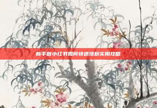 新手做小红书如何快速涨粉实用攻略