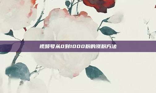 视频号从0到1000粉的涨粉方法