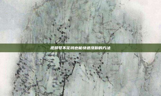 视频号不花钱也能快速涨粉的方法