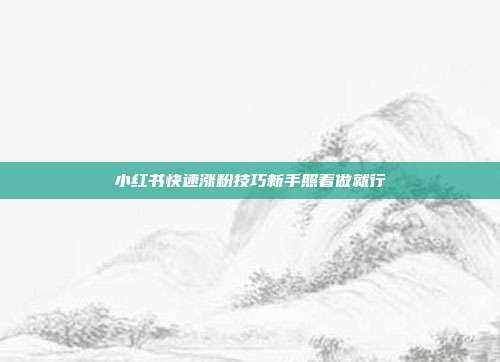 小红书快速涨粉技巧新手照着做就行