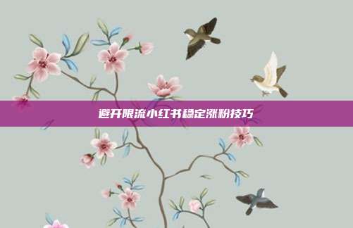避开限流小红书稳定涨粉技巧