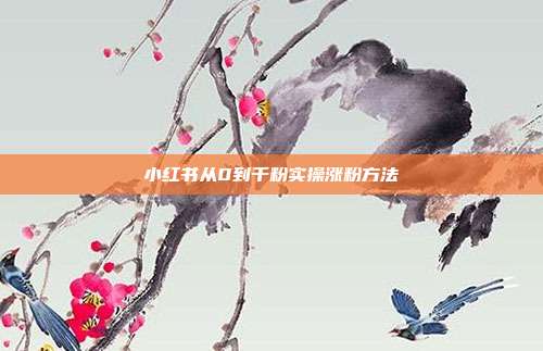 小红书从0到千粉实操涨粉方法