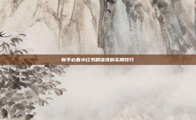 新手必看小红书精准涨粉实用技巧