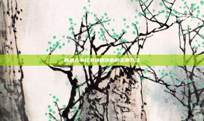 普通人小红书快速涨粉的实用方法