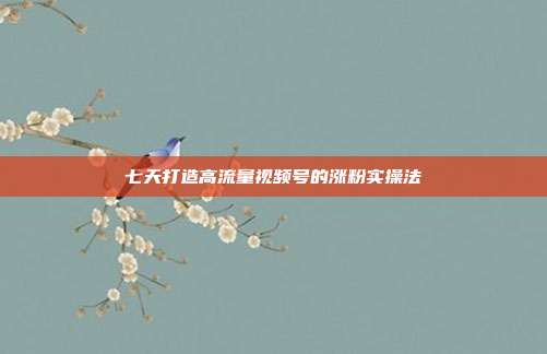 七天打造高流量视频号的涨粉实操法