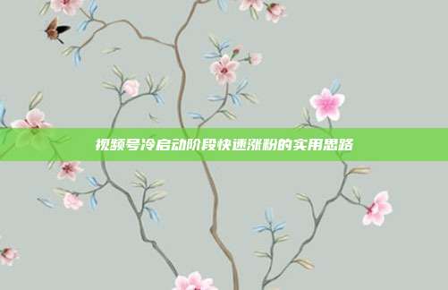 视频号冷启动阶段快速涨粉的实用思路