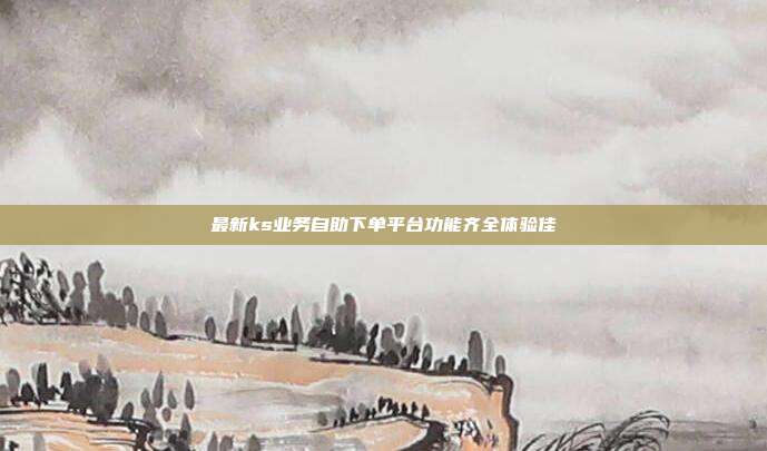 最新ks业务自助下单平台功能齐全体验佳