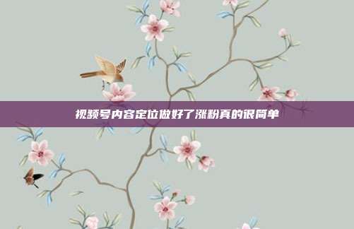 视频号内容定位做好了涨粉真的很简单