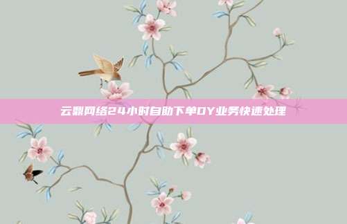 云鼎网络24小时自助下单DY业务快速处理